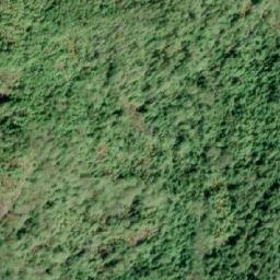Satellite imagery of Mount Ward, CA