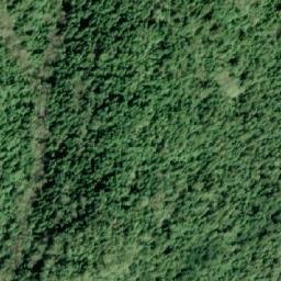 Satellite imagery of Mount Ward, CA
