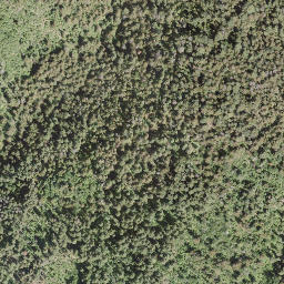 Satellite imagery of Mount Riley, CA