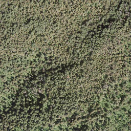 Satellite imagery of Mount Riley, CA