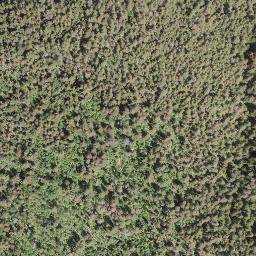 Satellite imagery of Mount Riley, CA