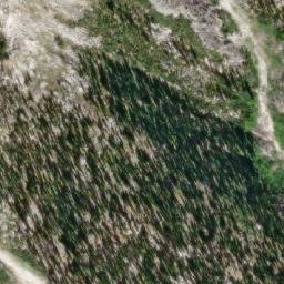 Satellite imagery of Schooner Ridge, CA