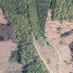 Satellite imagery of Rehberg, DE