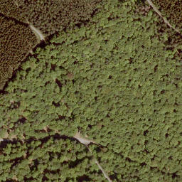 Satellite imagery of Kuppe, DE