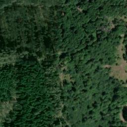 Satellite imagery of Dammskopf, DE