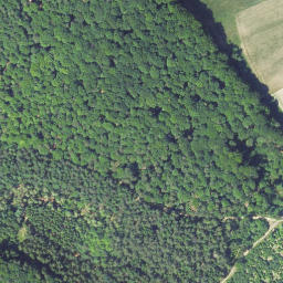 Satellite imagery of Mühlberg, DE