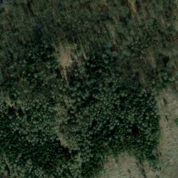 Satellite imagery of Vlčice [Staré Křečany], CZ