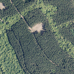 Satellite imagery of Rodenull, DE