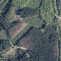 Satellite imagery of Rehberg, DE