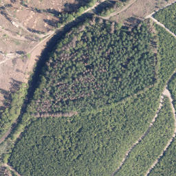 Satellite imagery of Rehberg, DE