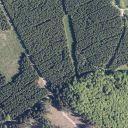 Satellite imagery of Hohe Haupt, DE