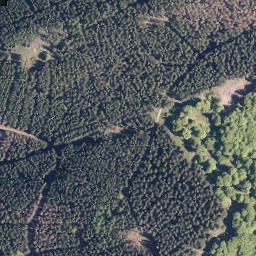 Satellite imagery of Wüstenhain, DE