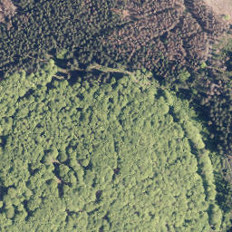 Satellite imagery of Bärenkopf, DE