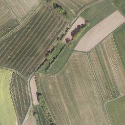 Satellite imagery of Hohe Warte, DE