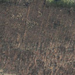 Satellite imagery of Thüringer Landessternwarte Tautenburg, DE