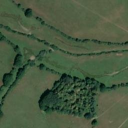 Satellite imagery of Knepp Castle, GB