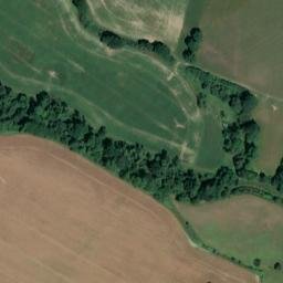 Satellite imagery of Knepp Castle, GB