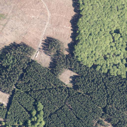 Satellite imagery of Hoher Kopf, DE