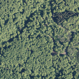 Satellite imagery of Wüstenhain, DE