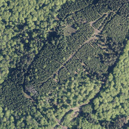 Satellite imagery of Wüstenhain, DE
