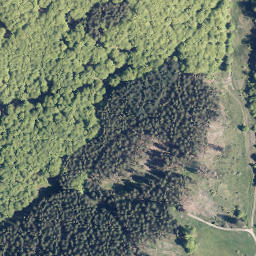 Satellite imagery of Bärenkopf, DE