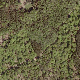 Satellite imagery of Würzeberg, DE