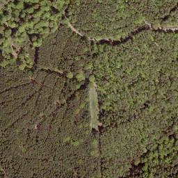 Satellite imagery of Würzeberg, DE