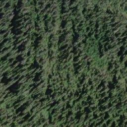 Satellite imagery of Mount Plowden, CA