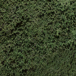 Satellite imagery of Aline Hill, CA