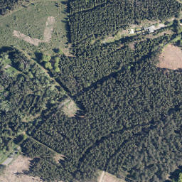Satellite imagery of Ebschloh, DE