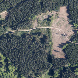Satellite imagery of Hohe Haupt, DE