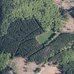 Satellite imagery of Brand, DE