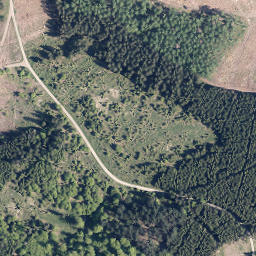 Satellite imagery of Erbachs Kopf, DE