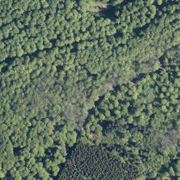 Satellite imagery of Wüstenhain, DE