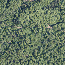 Satellite imagery of Wüstenhain, DE