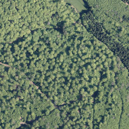 Satellite imagery of Wüstenhain, DE