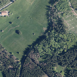 Satellite imagery of Schweinskaute, DE