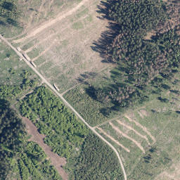 Satellite imagery of Schweinskaute, DE