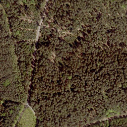 Satellite imagery of Gerhardsberg, DE