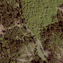 Satellite imagery of Mühlberg, DE
