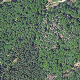 Satellite imagery of Auerhahnsberg, DE