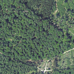 Satellite imagery of Auerhahnsberg, DE