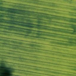 Satellite imagery of Taubacher Höhe, DE