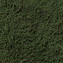 Satellite imagery of Aline Hill, CA