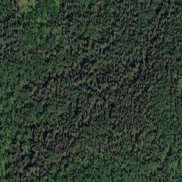 Satellite imagery of Two Pines, CA