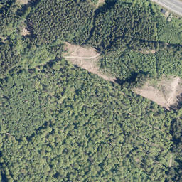 Satellite imagery of survey_point, FR