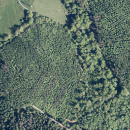 Satellite imagery of Lichtenhardt, DE
