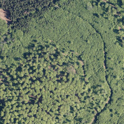 Satellite imagery of Erbachs Kopf, DE