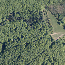 Satellite imagery of Briemberg, DE