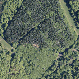 Satellite imagery of Briemberg, DE